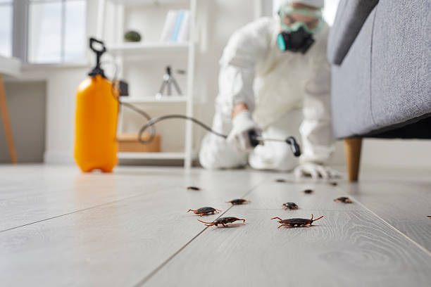 Commercial Kitchen Cockroach Control in Sneedville